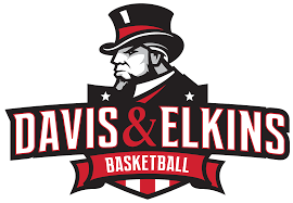 DAVIS & ELKINS Team Logo